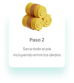 paso 2